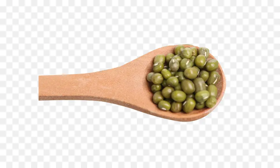 Bean，La Madera PNG