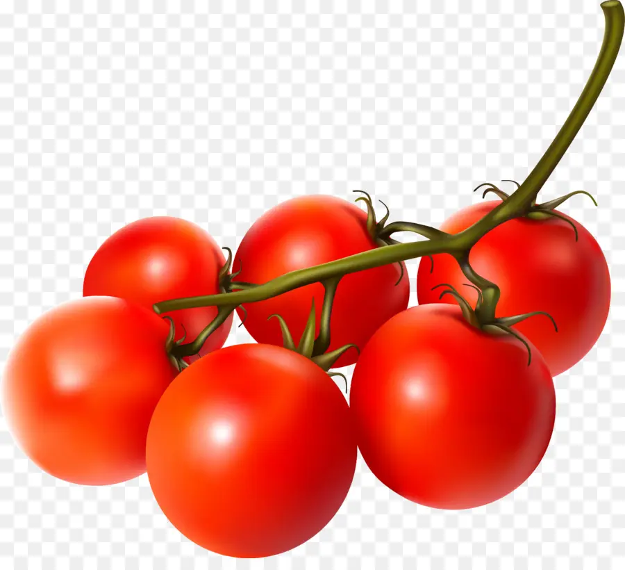 Tomate Cherry，Vegetal PNG