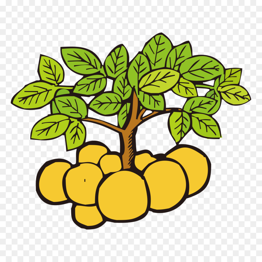 árbol Frutal，Hojas PNG