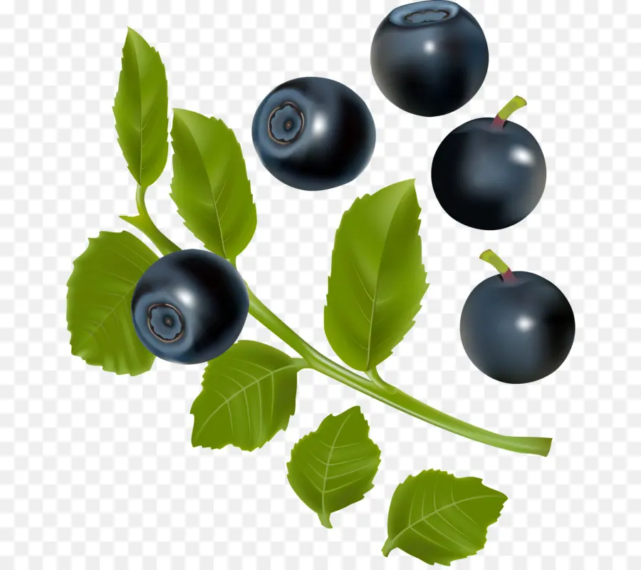 Berry，Arándanos PNG