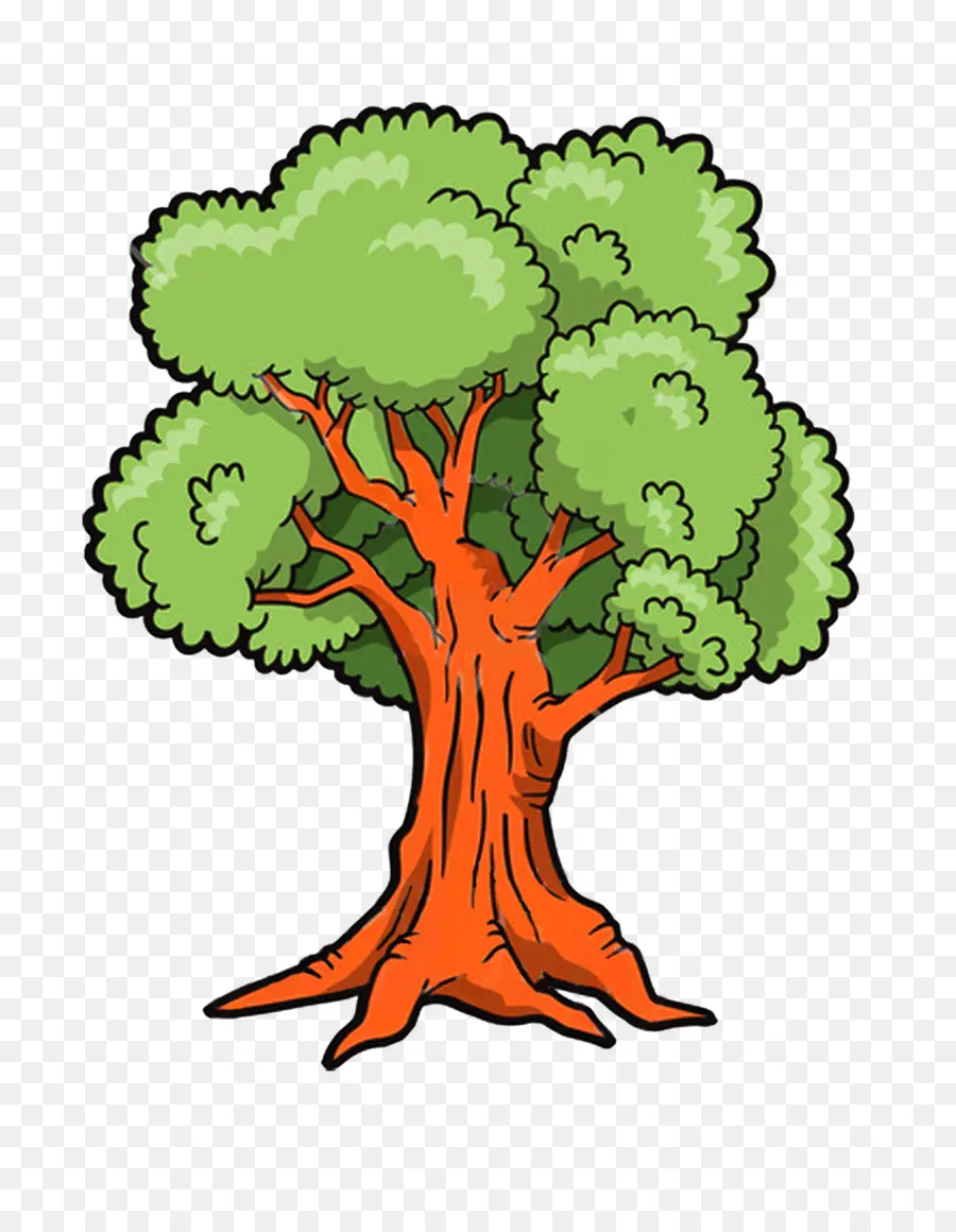 árbol，Dibujo PNG