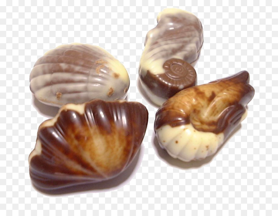 Bombones，Conchas PNG