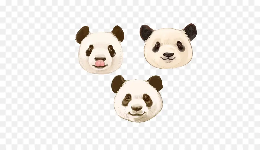 Caras De Panda，Lindo PNG