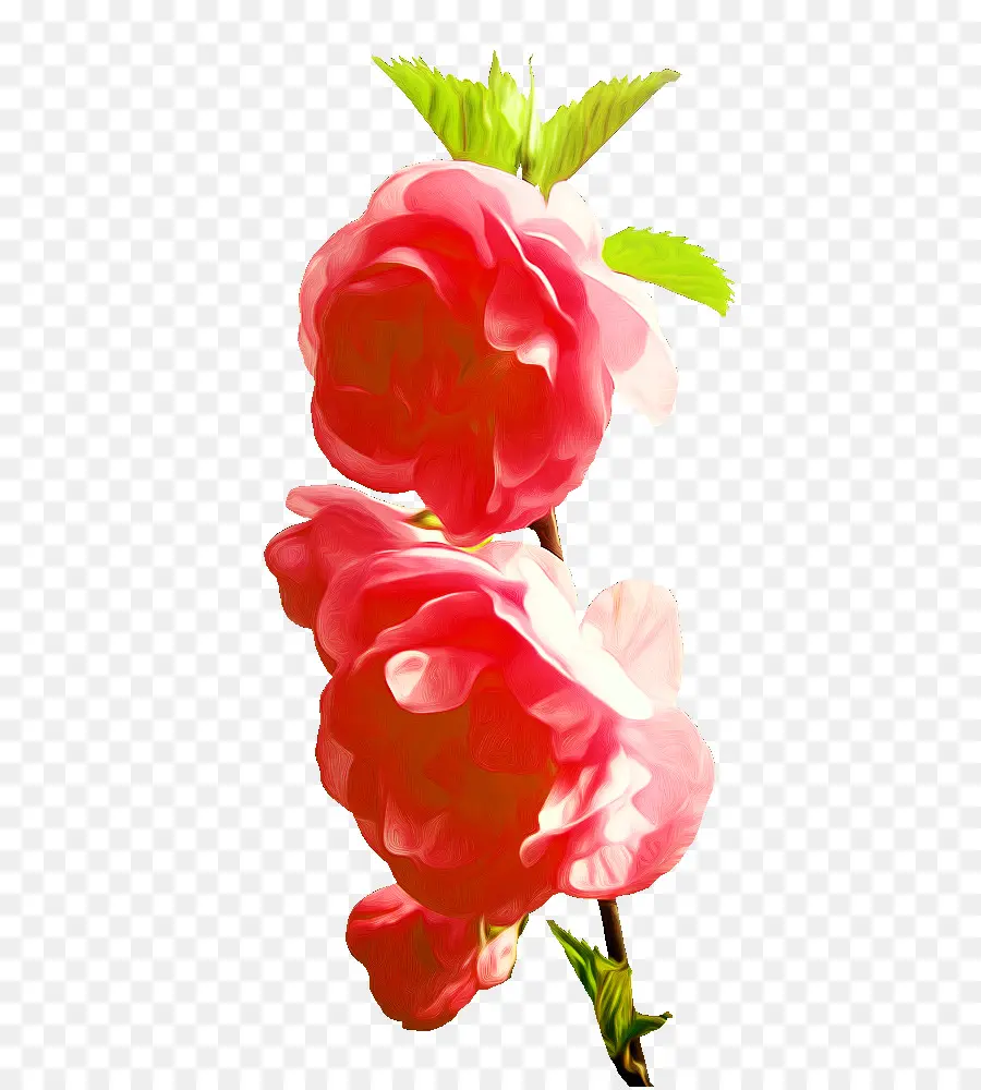 Flores Rosadas，Florecer PNG