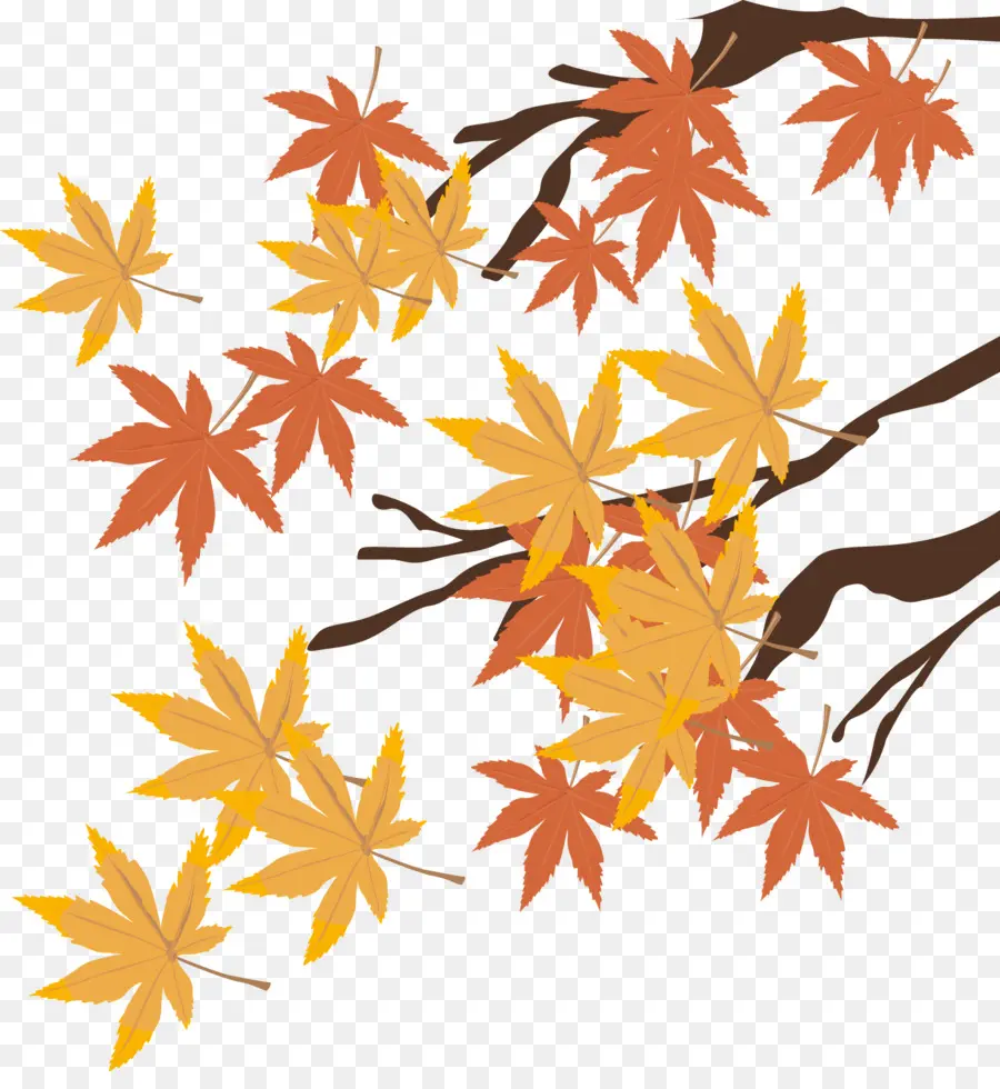 Hojas De Otoño，Árbol PNG