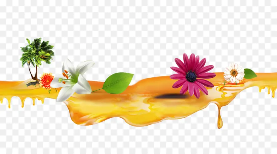 Miel Y Flores，Goteo PNG