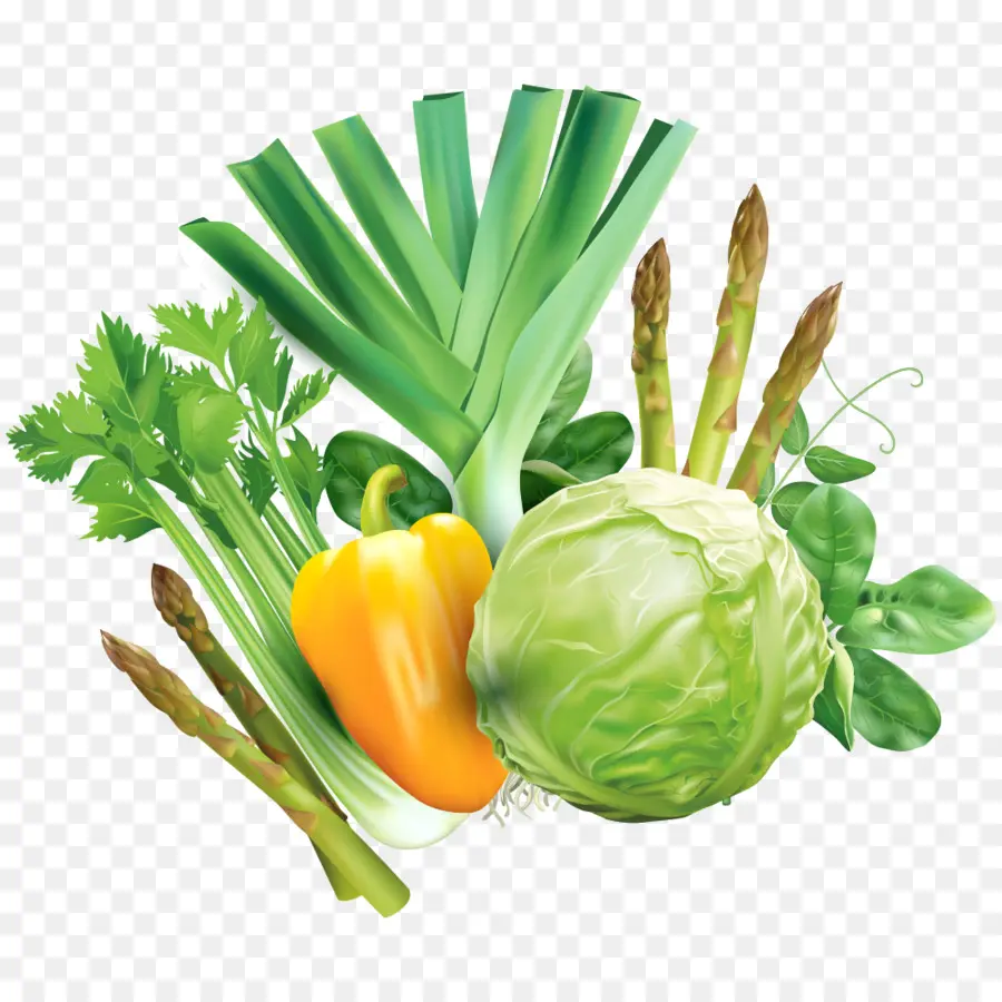 Vegetal，Hot Pot PNG