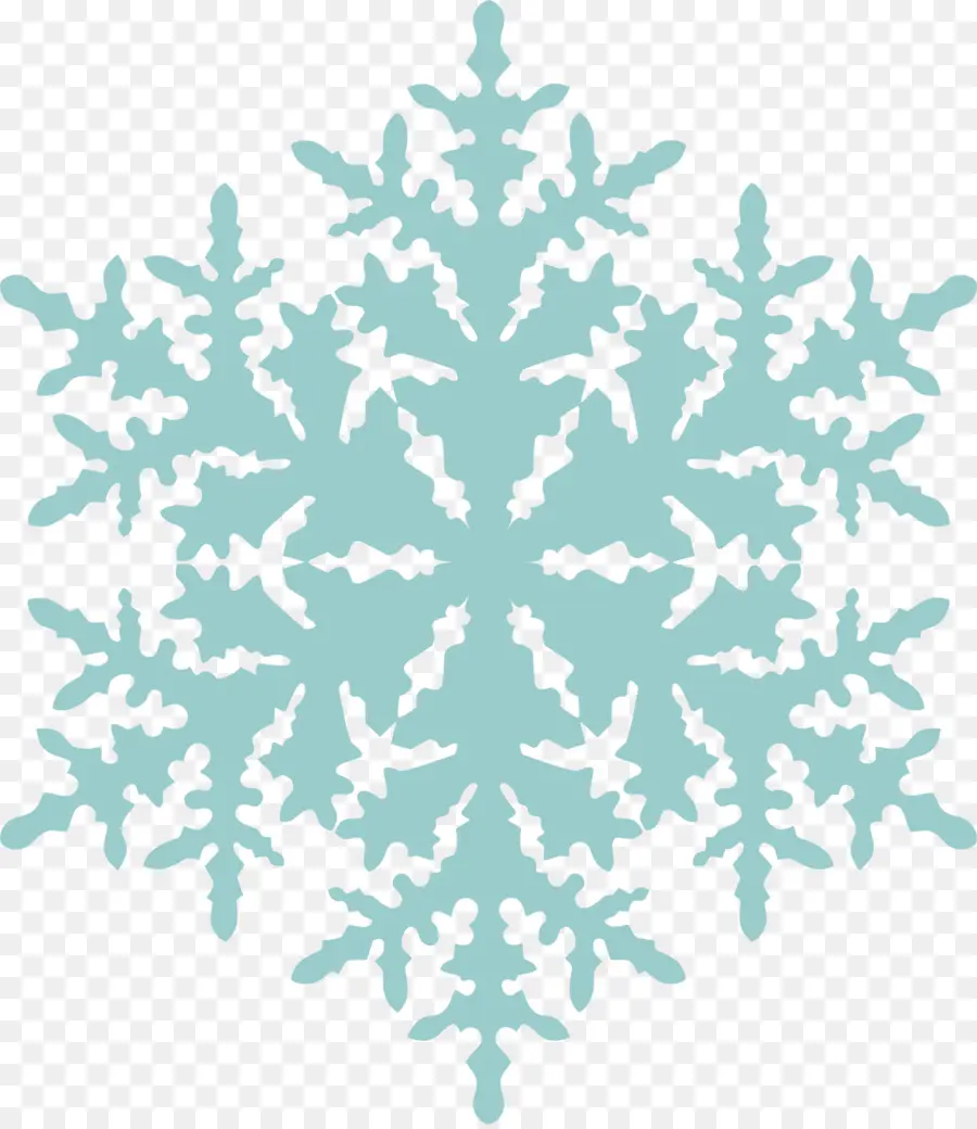 Copo De Nieve，Invierno PNG