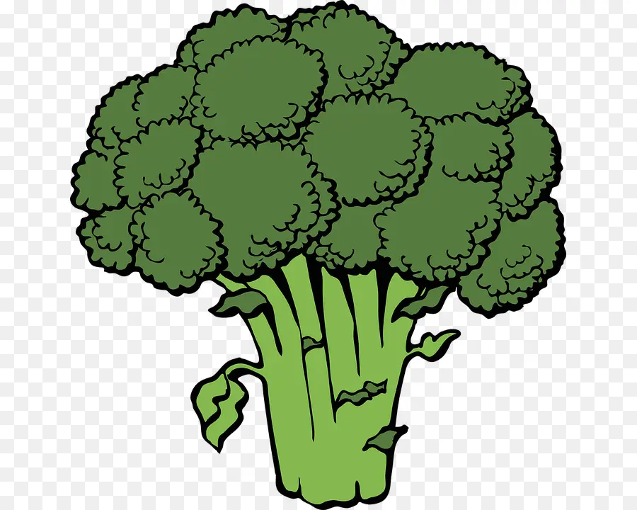 Brócoli Verde，Saludable PNG