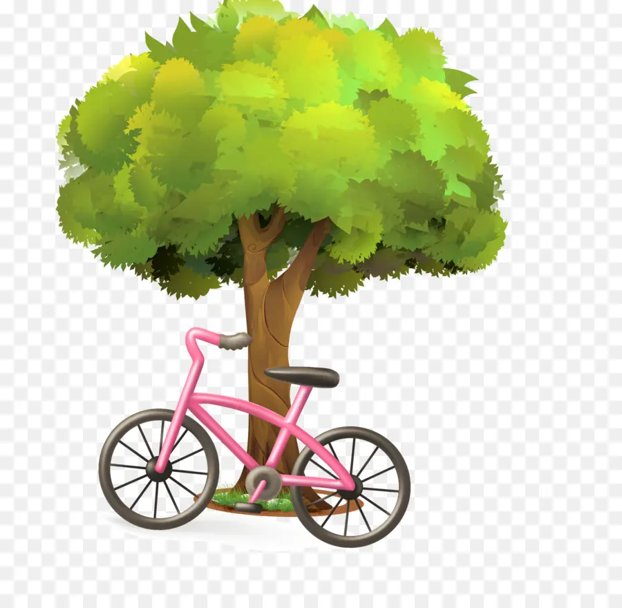 árbol Y Bicicleta，Árbol PNG