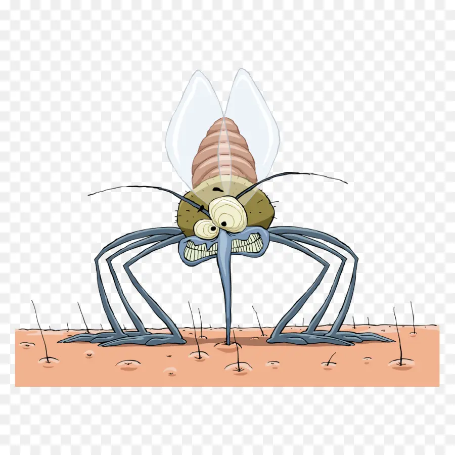 Mosquito，Royaltyfree PNG