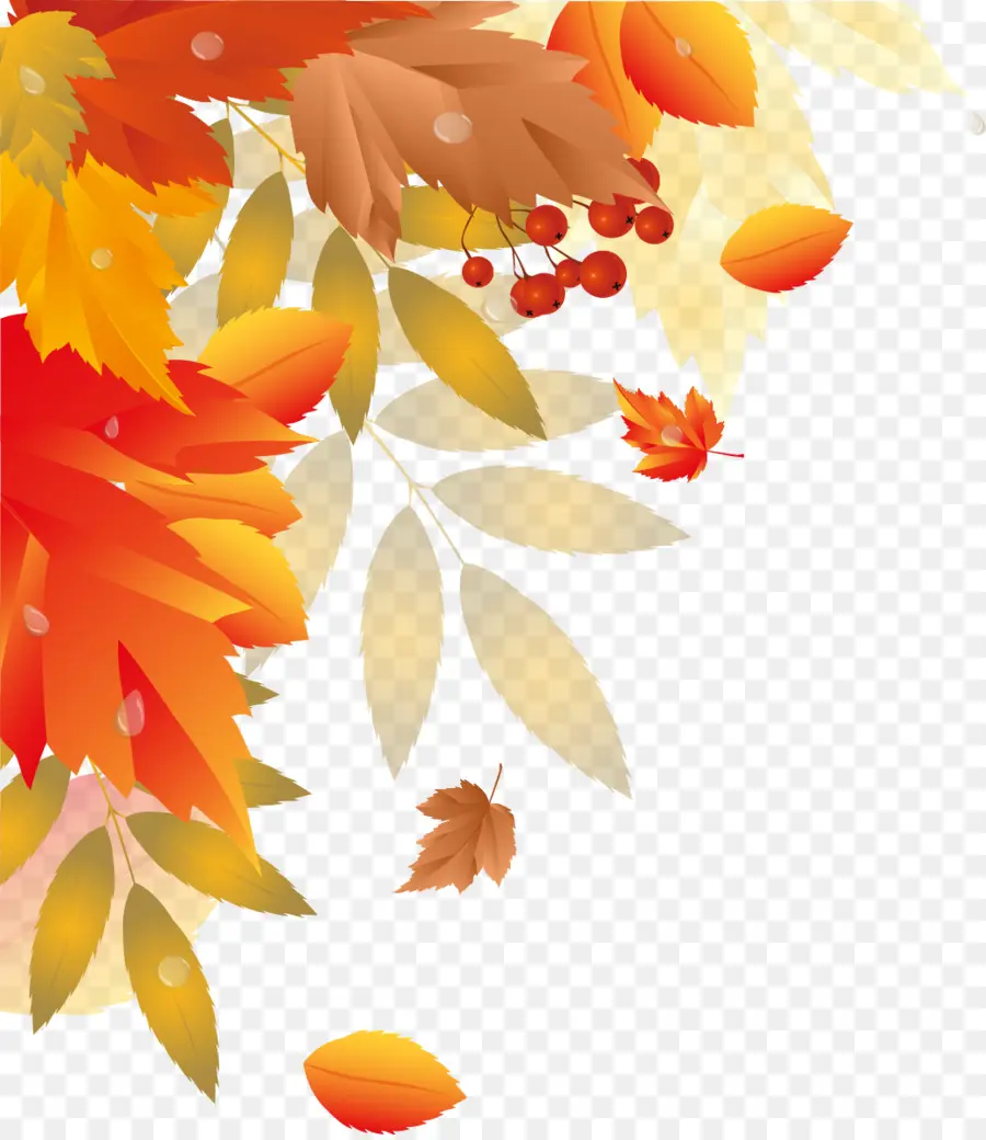 Hojas De Otoño，Caer PNG