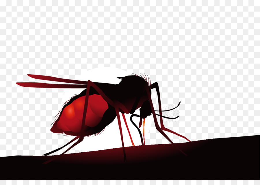 Mosquito，Bicho PNG