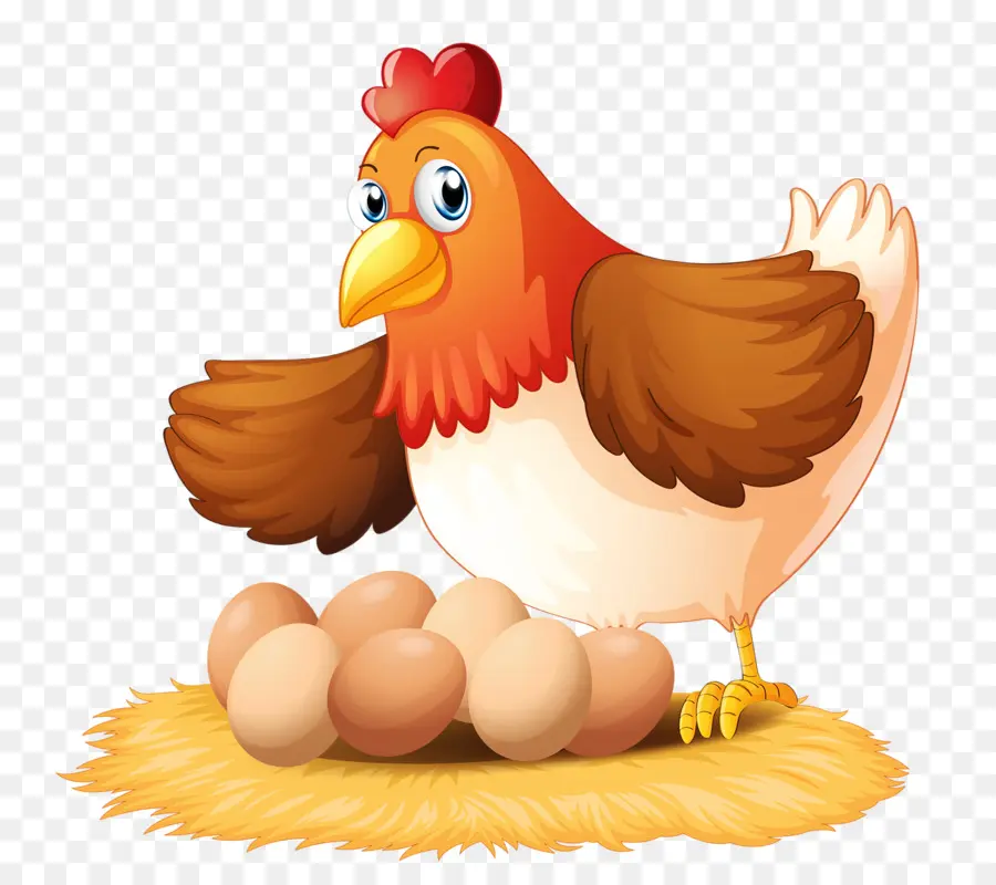 Pollo，Huevo PNG