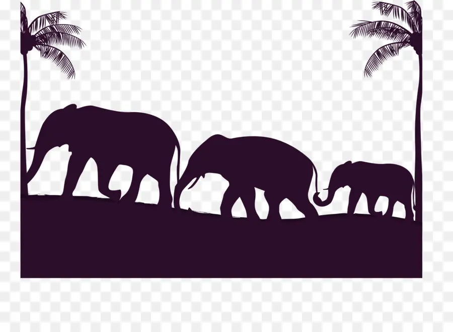 Siluetas De Elefante，Animales PNG