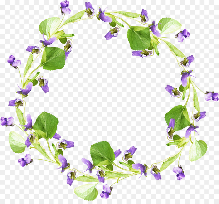 Flor，Ipomoea Nil PNG