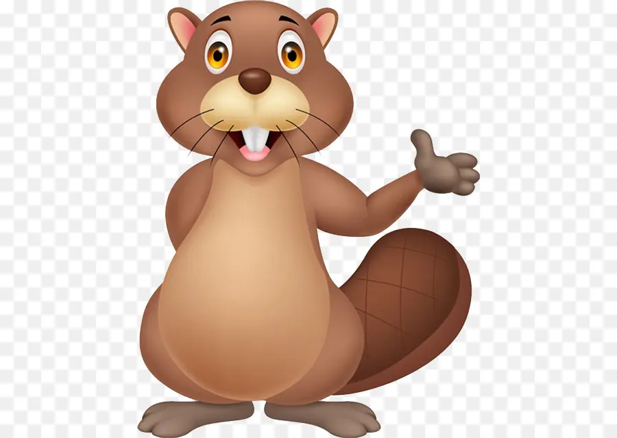 Beaver，Royaltyfree PNG