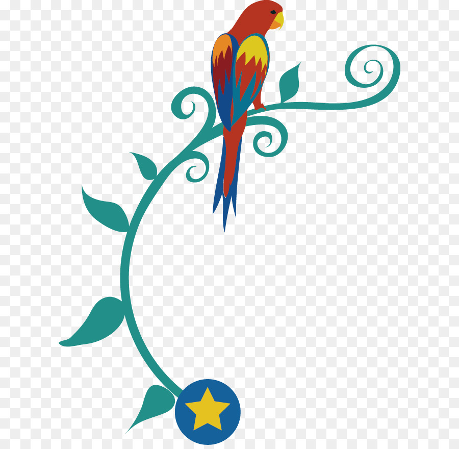 Loro Colorido，Rama PNG