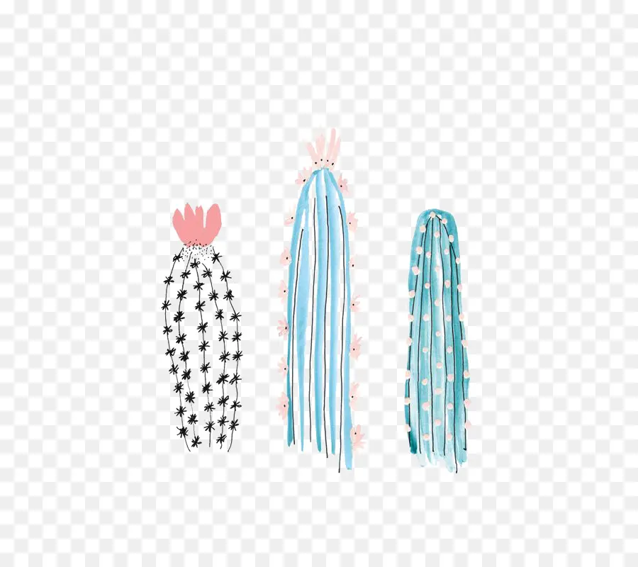 Cactaceae，Dibujo PNG