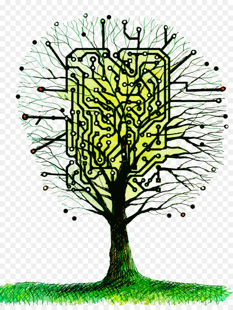 Árbol De Circuitos，Tecnología PNG