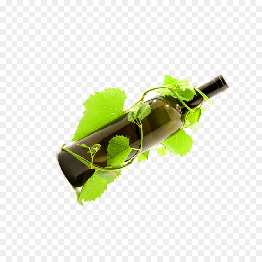 Botella De Vino，Enredadera PNG