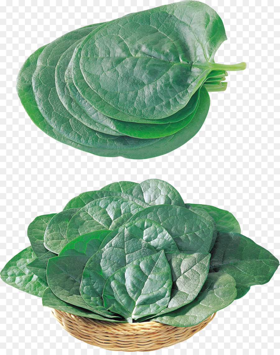 Hojas De Espinaca，Verde PNG