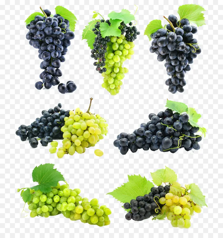 Uvas，Enredadera PNG