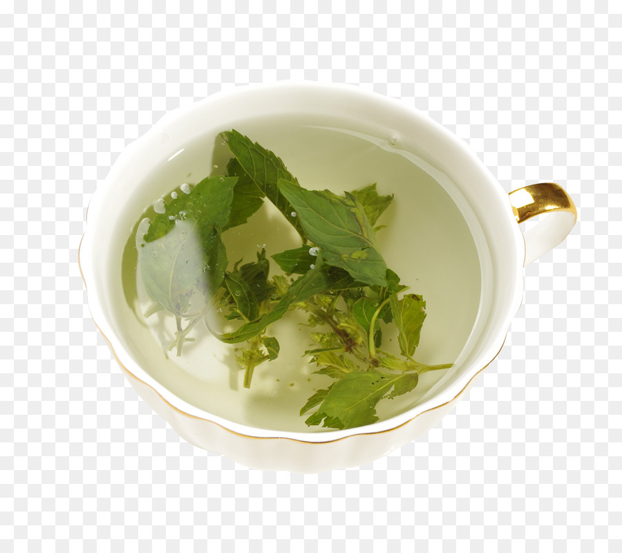 Té，Té Verde PNG