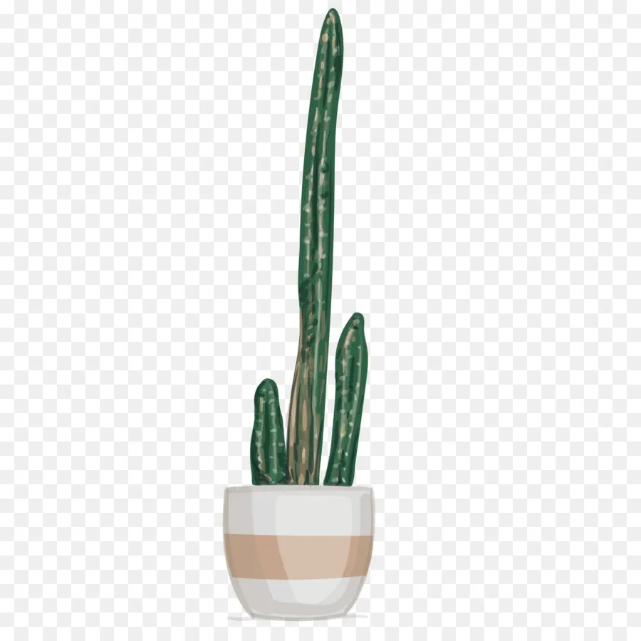 Cactaceae，Planta PNG