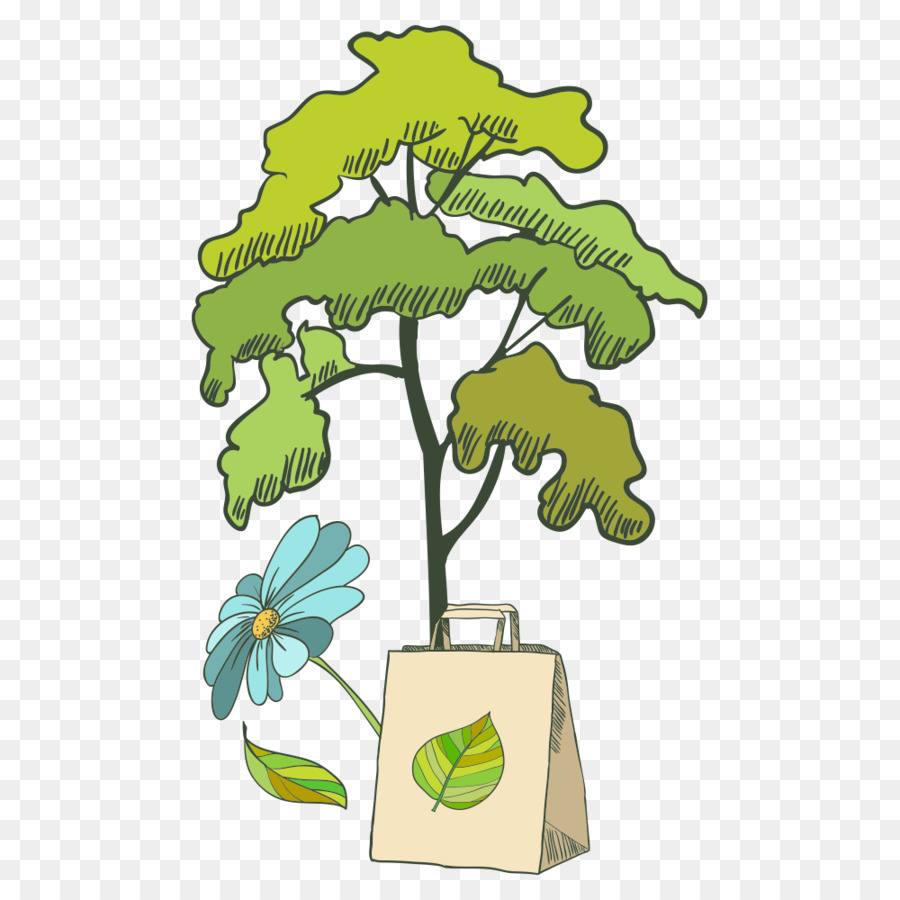 Ecología，Entorno Natural PNG