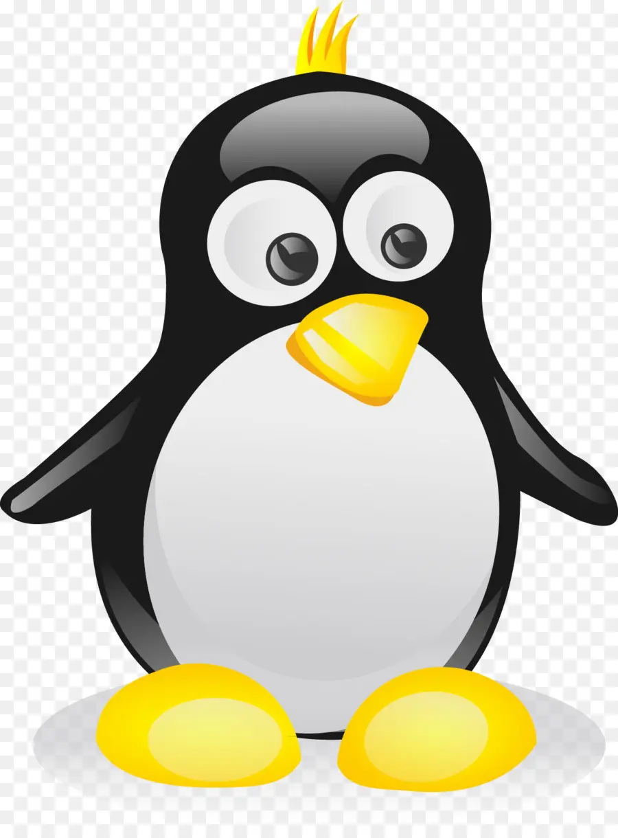 Pingüino，En Blanco Y Negro PNG