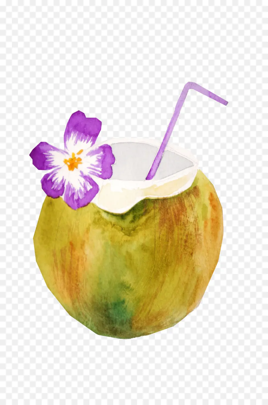 La Leche De Coco，Coco PNG