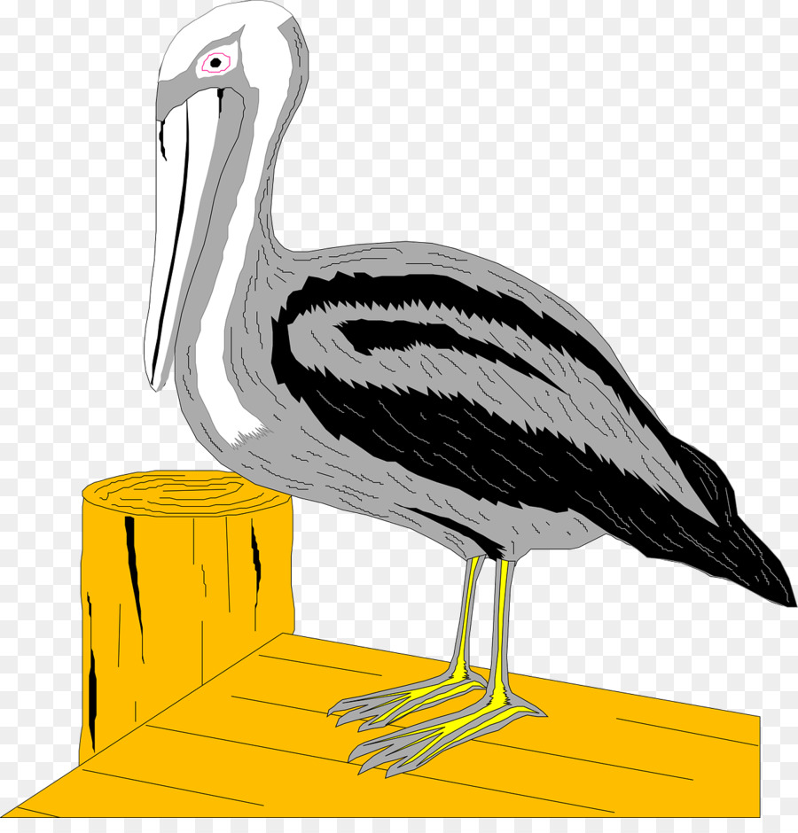 Pelican，Dock PNG