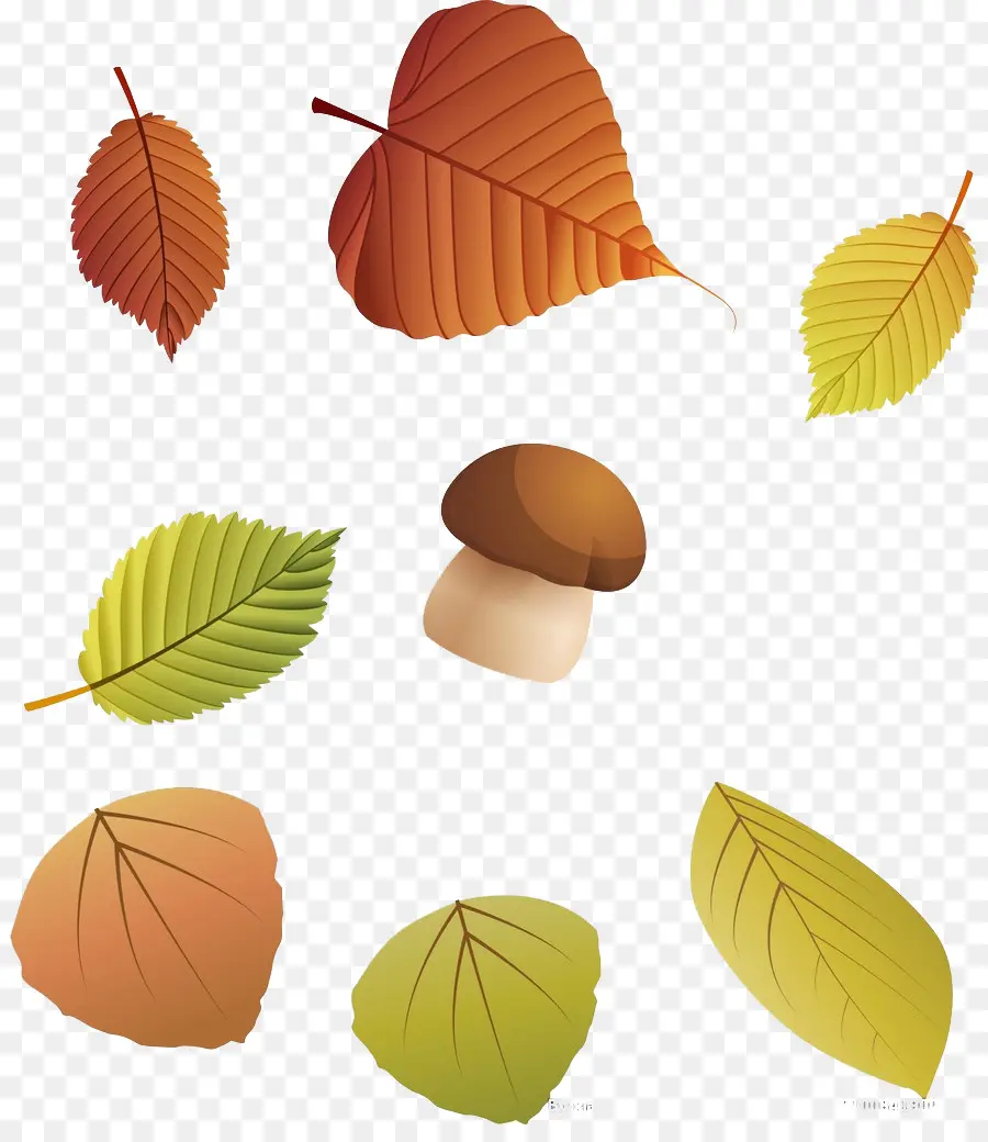 Hoja，Otoño PNG