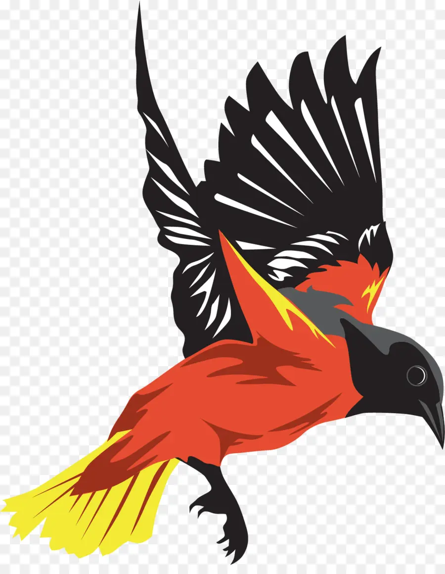 Pájaro，Vuelo PNG