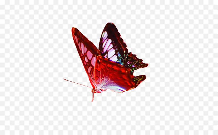 Mariposa，Gratis PNG