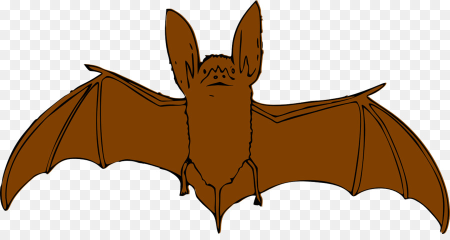 Bat，Libre De Contenido PNG