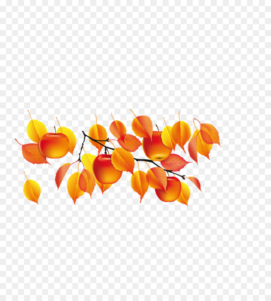 Hojas De Otoño Y Manzanas，Caer PNG