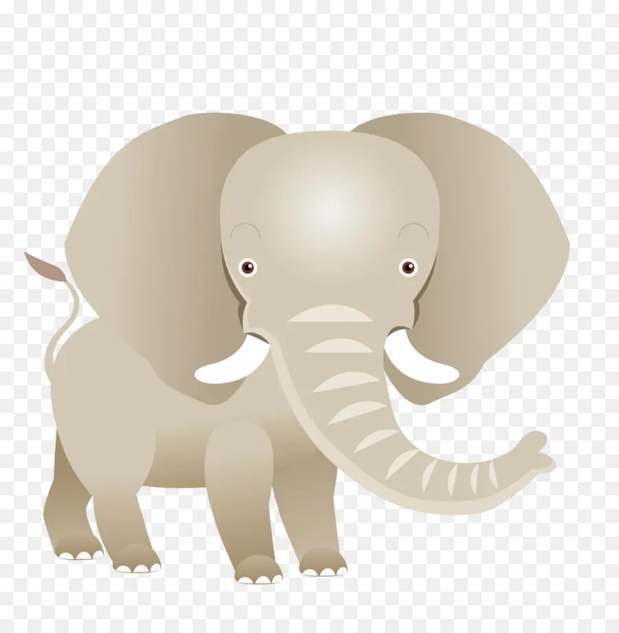 Elefante，Gris PNG