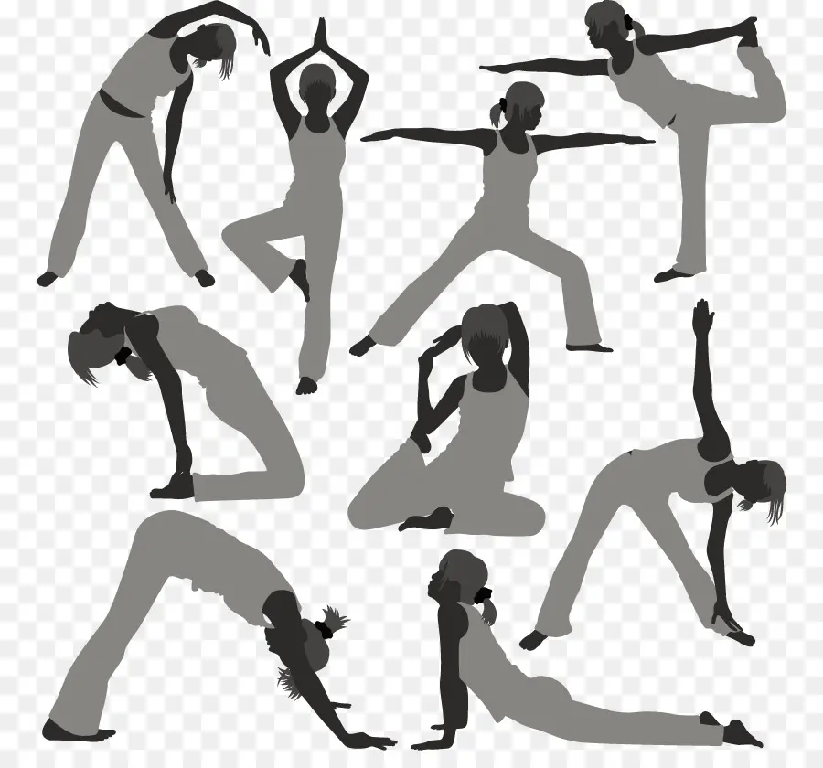 El Ejercicio Físico，Yoga PNG