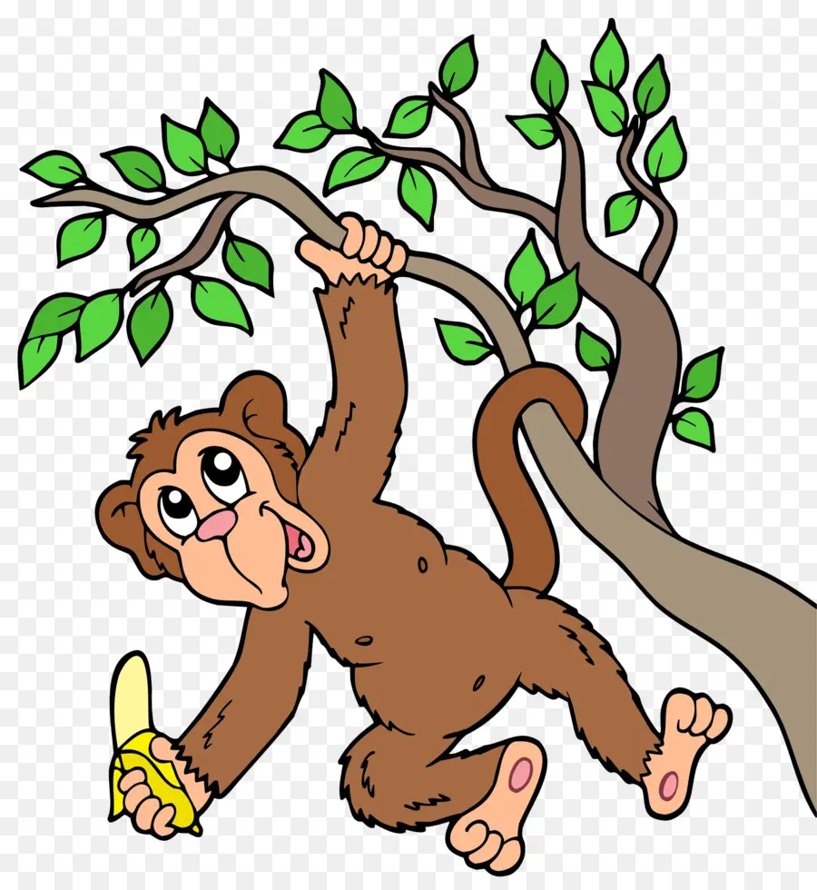 Mono Con Plátano，árbol PNG