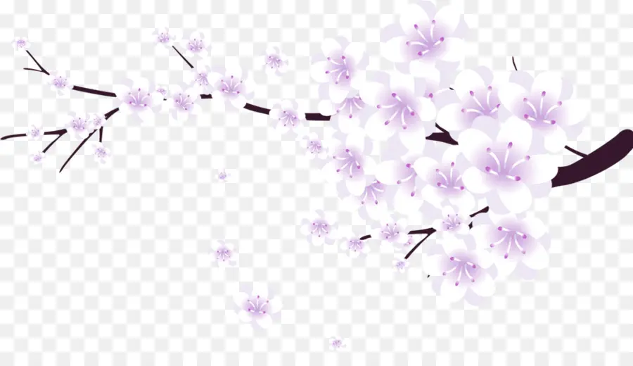 De Los Cerezos En Flor，Descargar PNG