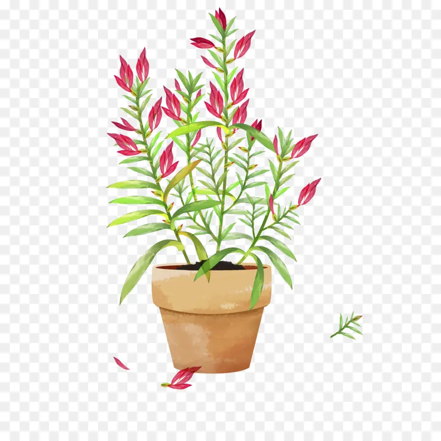 Planta En Maceta，Hojas PNG