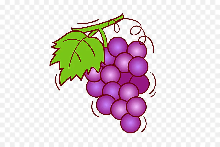 Uva，Vino PNG