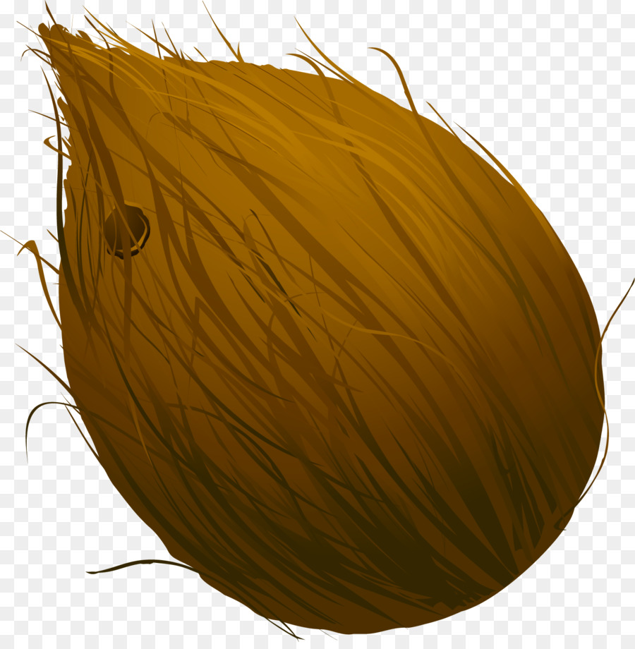 Coco，Planta PNG