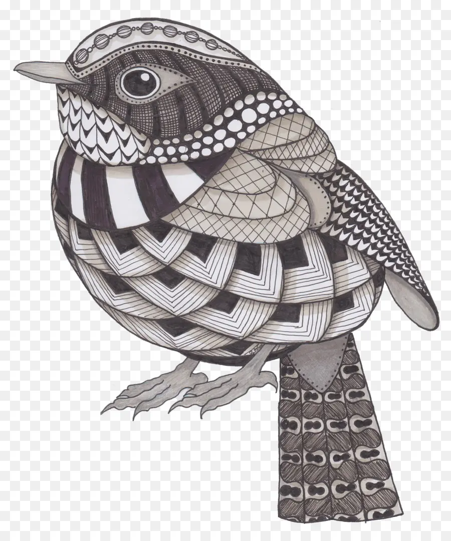 Pájaro Estampado，Diseño PNG