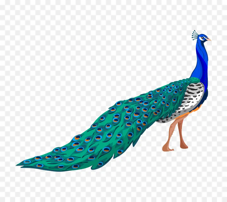 Pájaro，La Calcomanía De Pared PNG