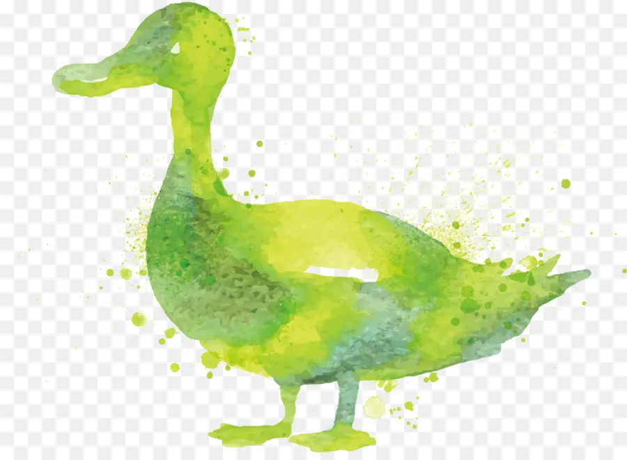 Pato，Ganso PNG