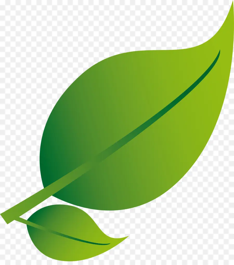 Hoja Verde，Planta PNG