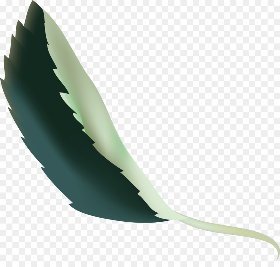 Verde，ángulo PNG